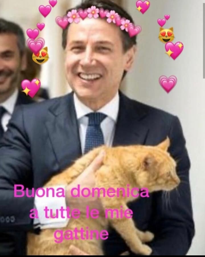 Buona domenica gattini e gattine ??