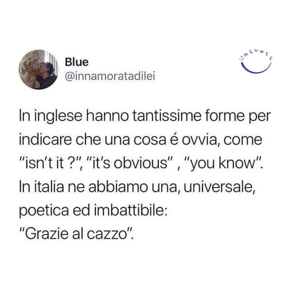 Semplice, veloce ed efficace. A volte "grazie al cazzo" è l'unica risposta possibile ?