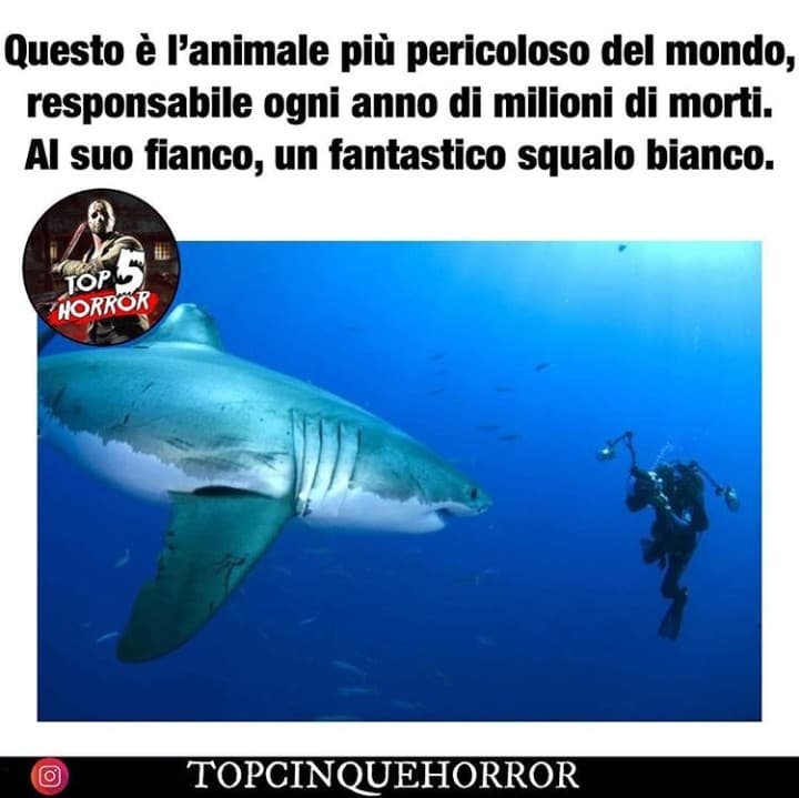 Quanto è vero ammettetelo.