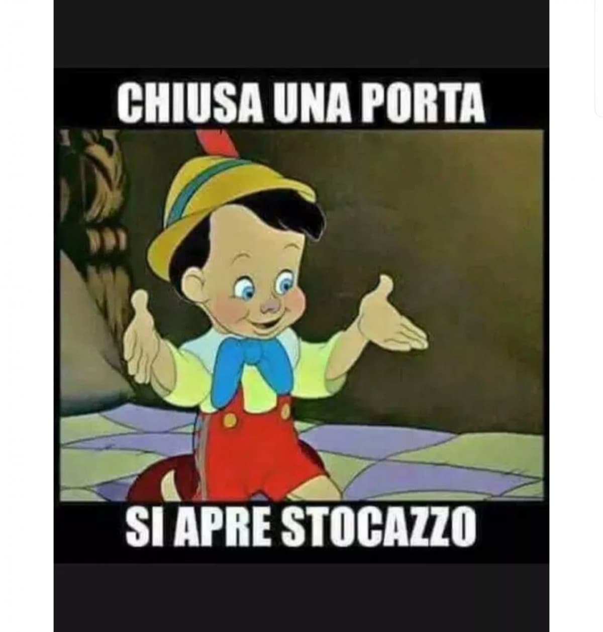 Bravo Pinocchio