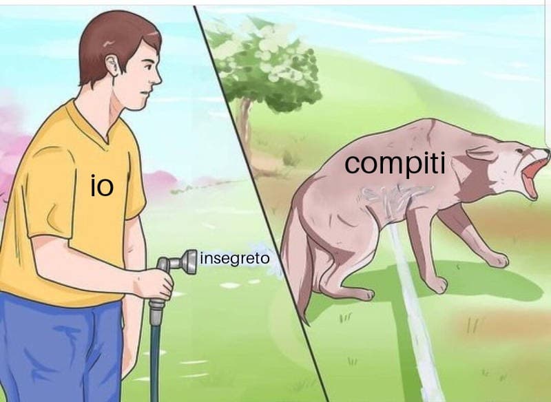 L'ho fatta io