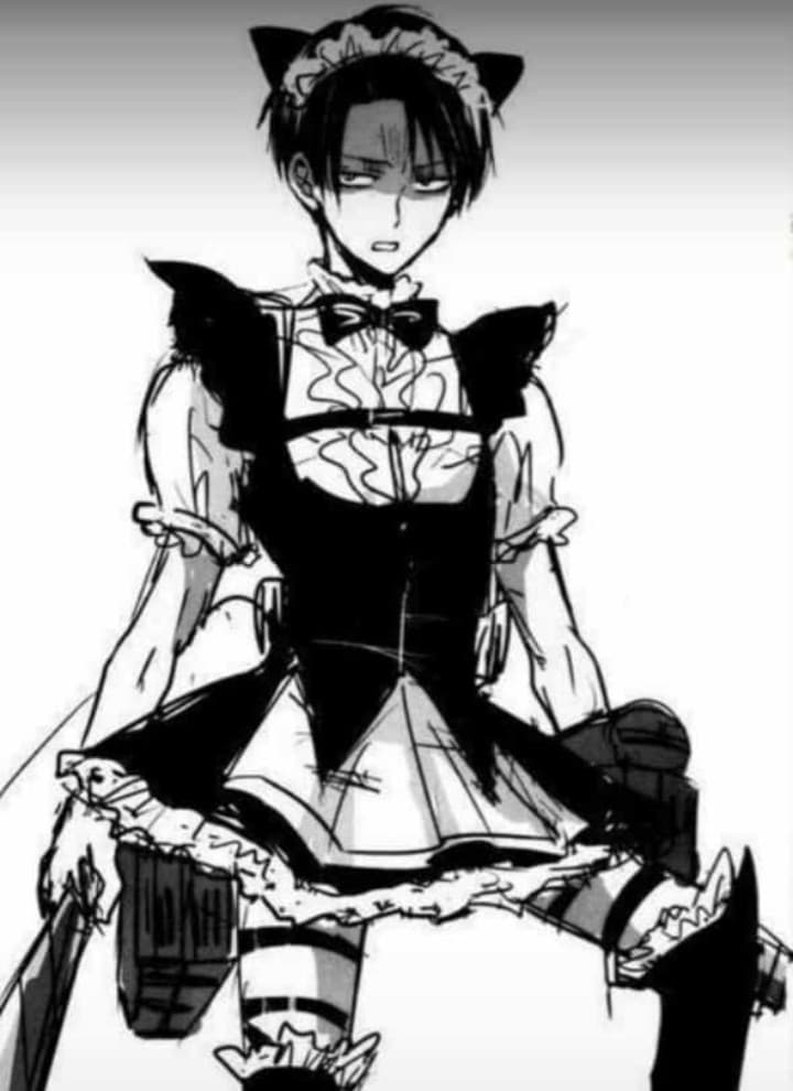 Levi in maid dress