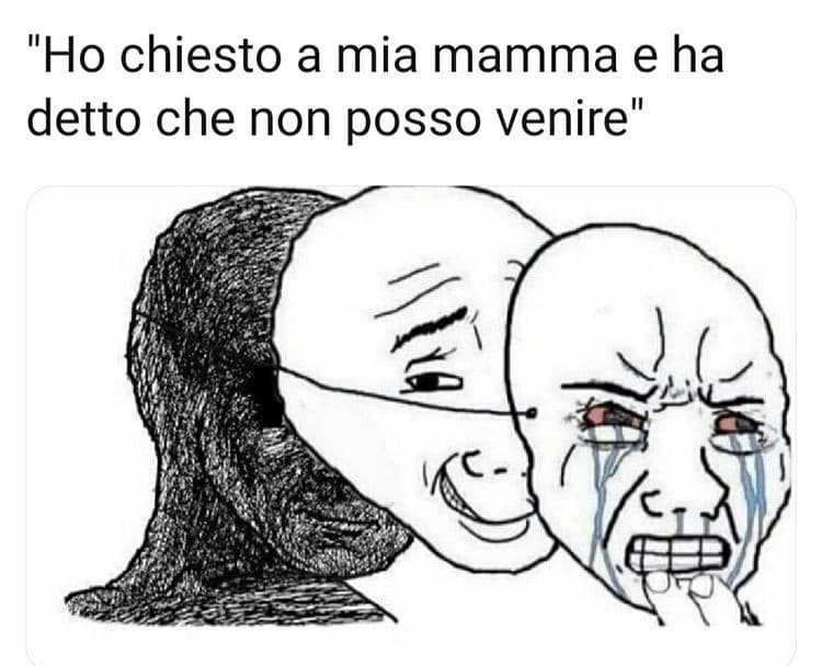 Questo meme mi descrive alla perfezione