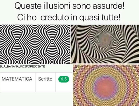 Le migliori illusioni del mondo? 