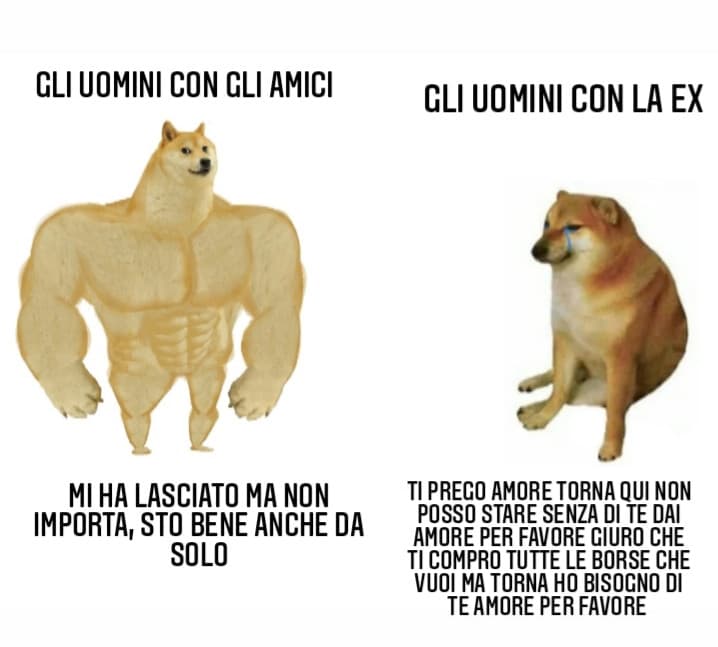 Meme mio