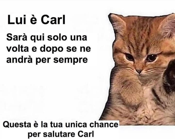 Saluta Carl