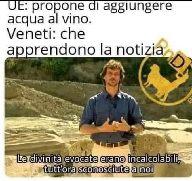 Il veneto entra in guerra