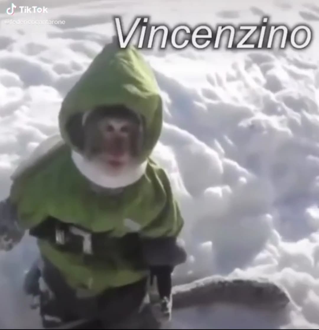 Vi presento vincenzino