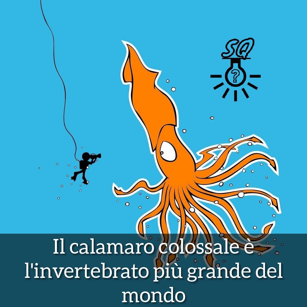 #curiosità 