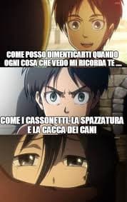 Povera Mikasa♥️♥️