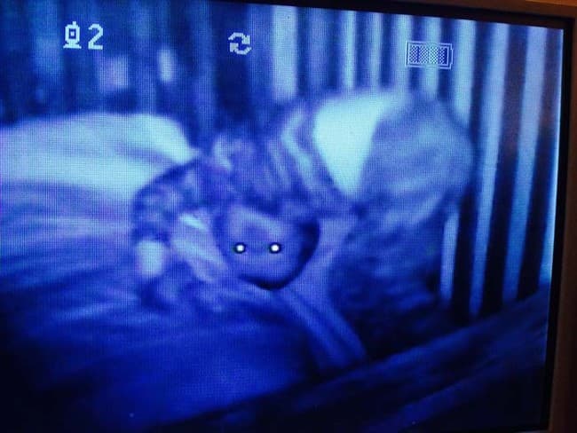 Bambini posseduti dai baby monitor