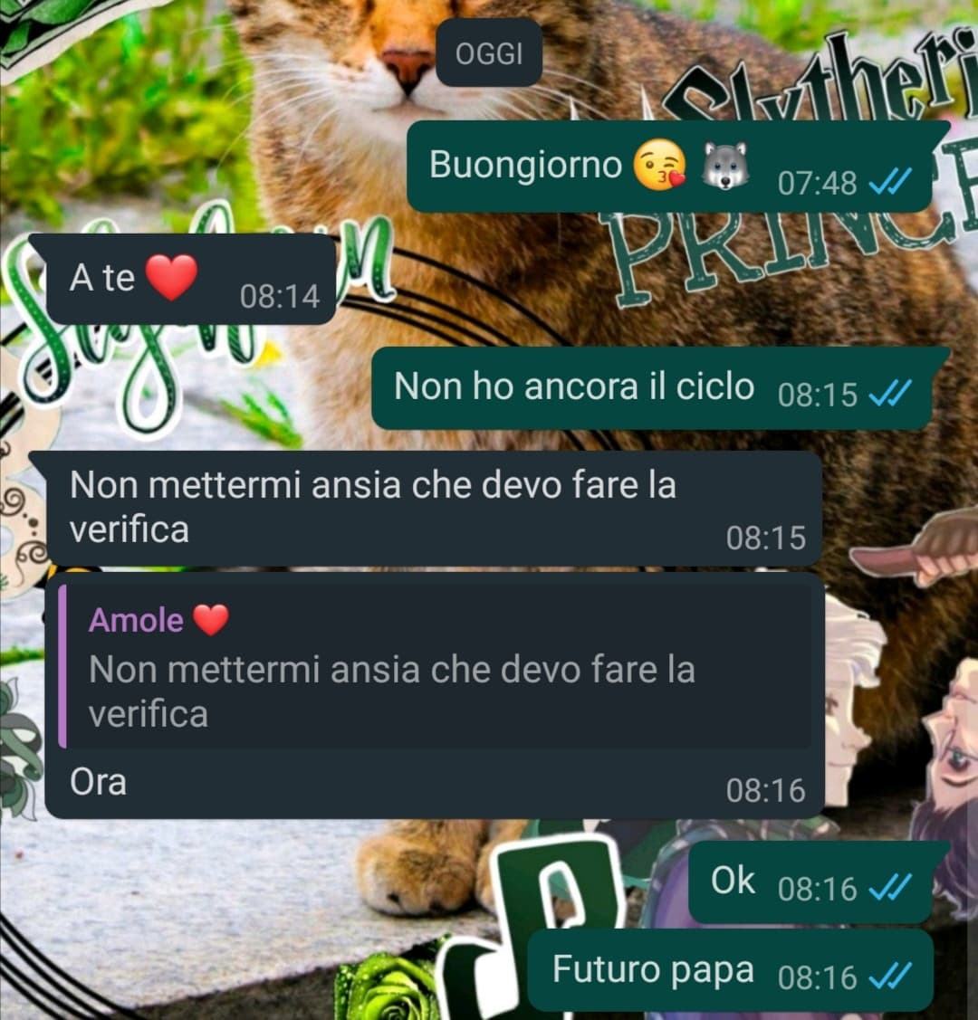 Chat tra me e il mio ragazzo