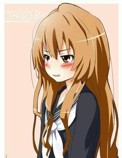 Vi presento Aisaka Taiga. (Non siete costretti a leggere quello che ho scritto sotto, sono solo presentazioni e pensieri sul mio personaggio preferito di un anime. :') )