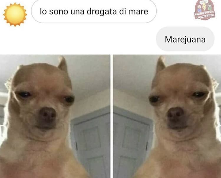 Ciao regaz sono abbastanza brilla e sono felice della mia vita