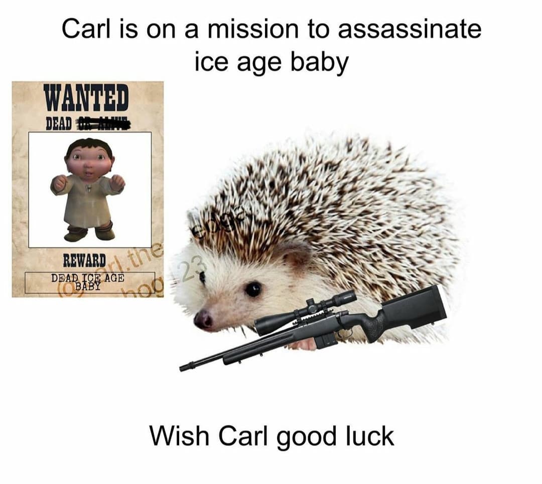 Good luck Carl