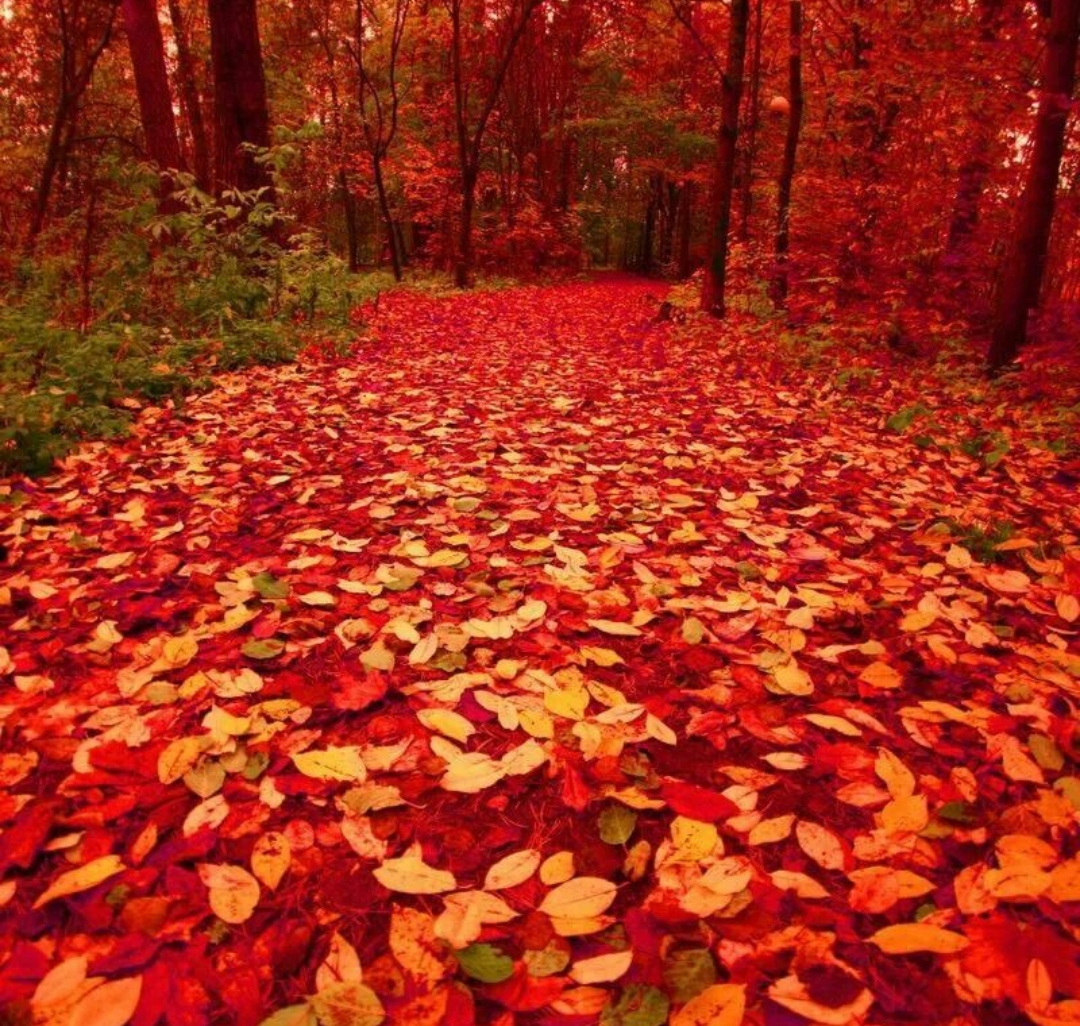 È arrivato l'autunno.. finalmente