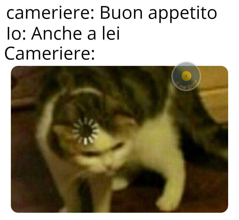 E poco dopo contempli la cazzata che hai detto