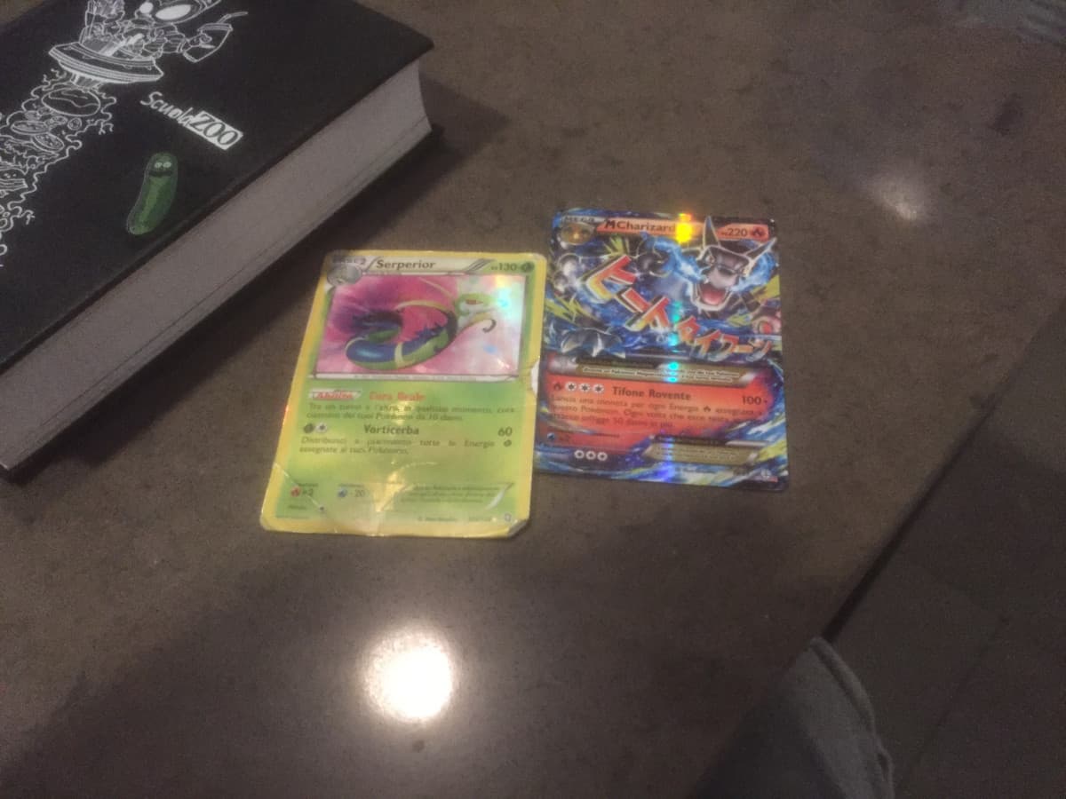 Queste sono le mie carte preferite. Una l’ho ottenuta per un Keldeo di quelli che trovavi a caso ovunque (il serperior), il charizard mentre andavo a scuola capovolta a terra