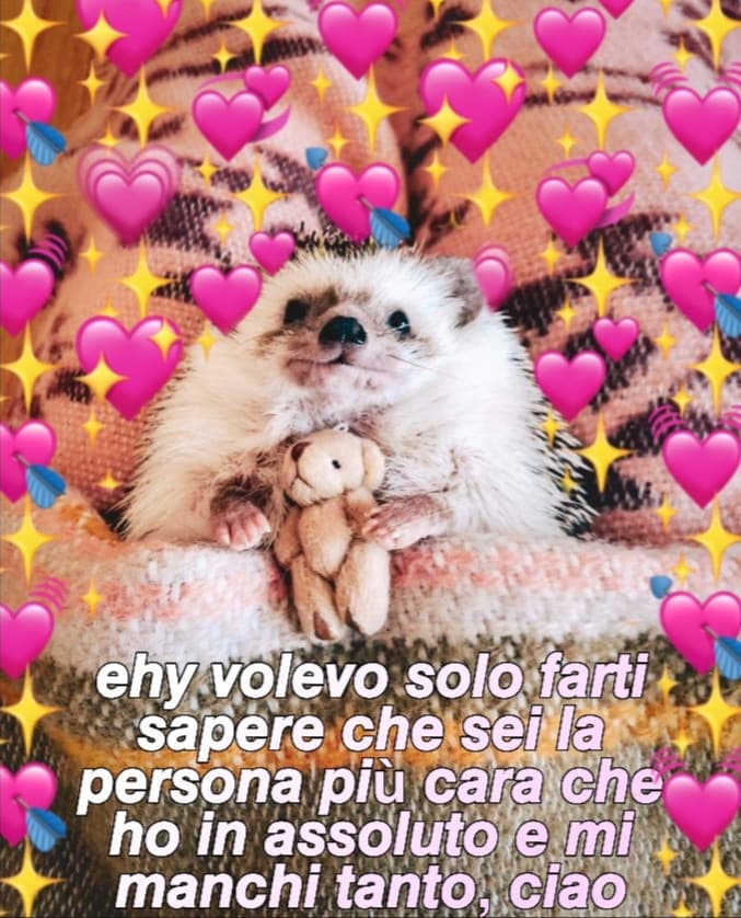 aaaa il mio cuoricino fa tunz tunz