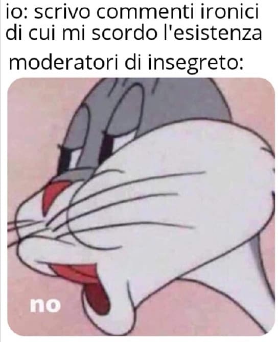 È DA GIORNI CHE MI CANCELLA COMMENTI DI MESI FA MA CHE DIAMINE 