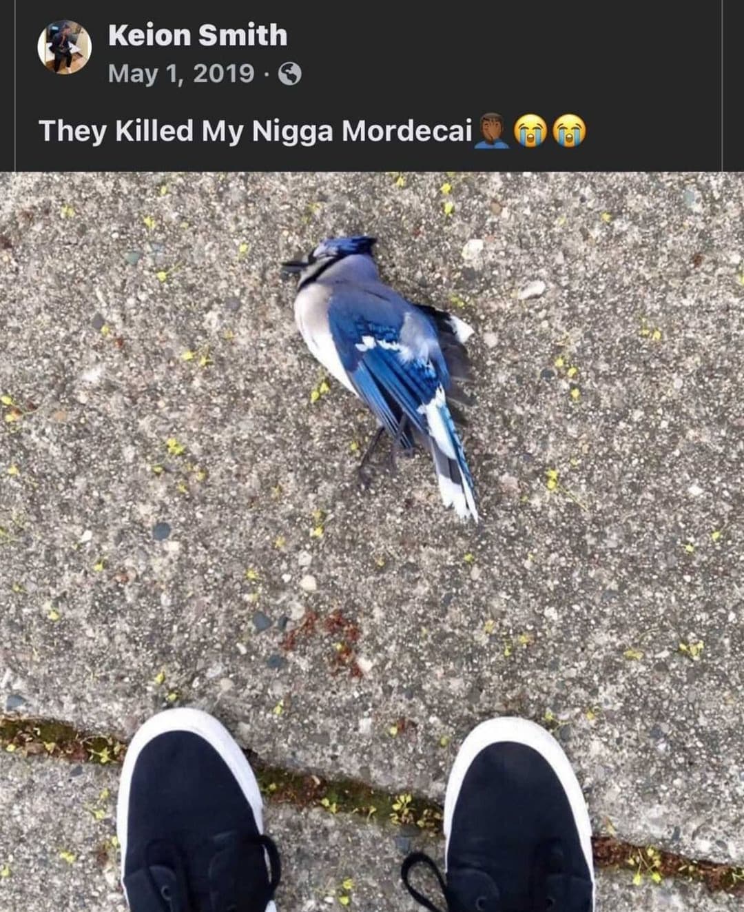 F per Mordecai