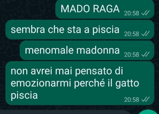 non so sicura sia scritto con l'italiano giusto ma oggi non sto a capi ncazzo, seria