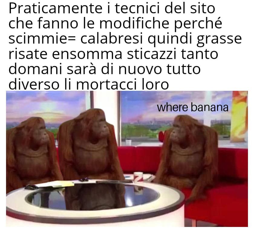 40 minuti di auto con Ariete a palla hanno messo a rischio la mia sanità mentale. Nella prossima vita gli amici me li scelgo meglio giur