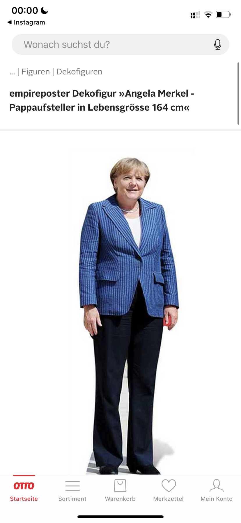 Un cartonato della merkel per 45€, NE HO BISOGNO