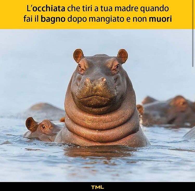 Grazie mamma per tutte le ore sprecate ad aspettare...