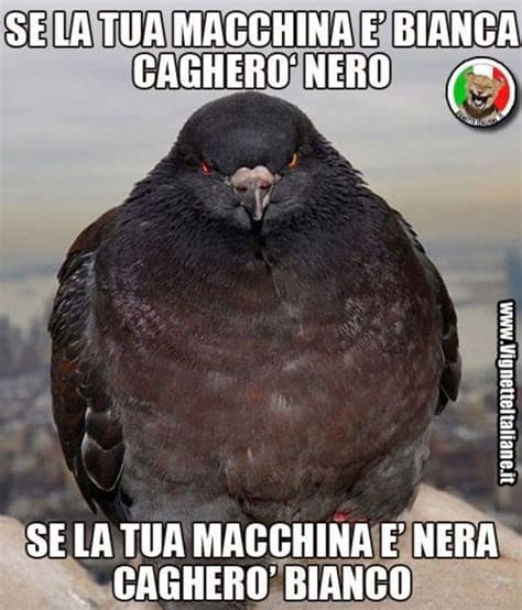 Verissimo xD