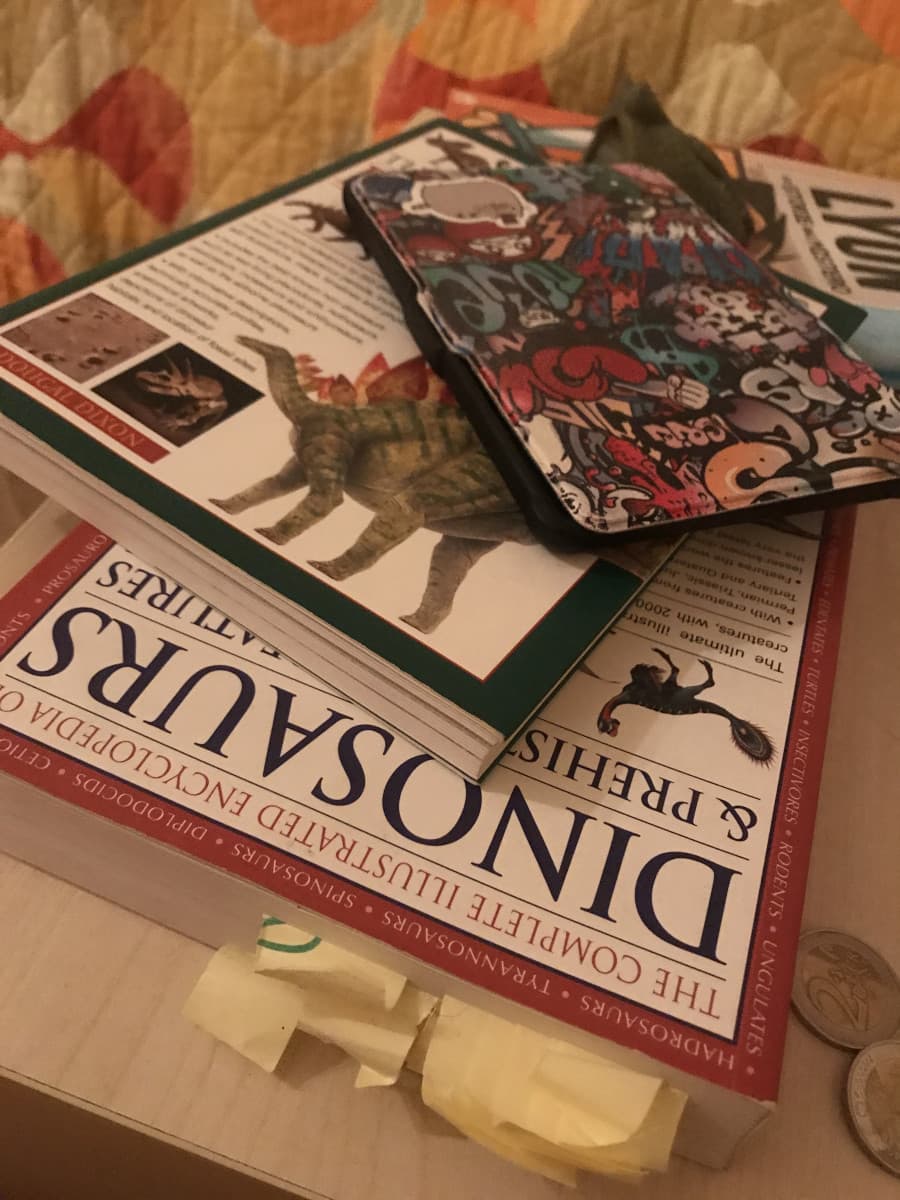 Domani mi arriva un altro libro sui dinosauri e sono SUPER CONTENTA AAAAA