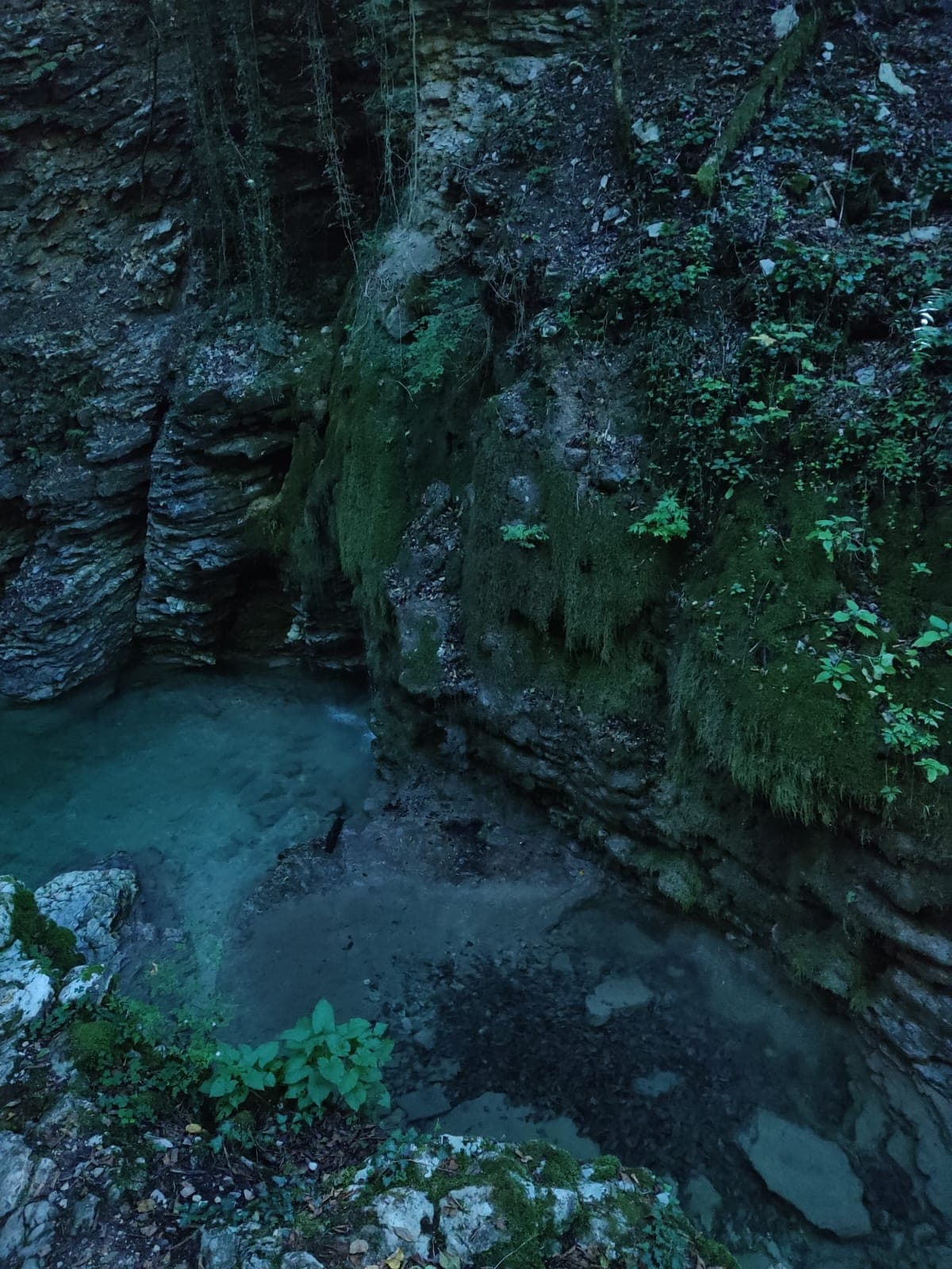 Adoro i boschi. Oggi passeggiata vicino alle cascate