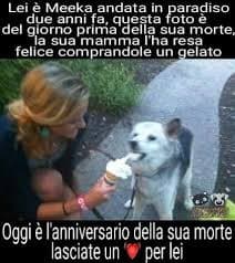 Amore ?????