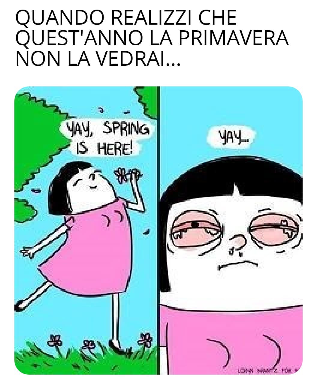 La primavera è arrivata... 