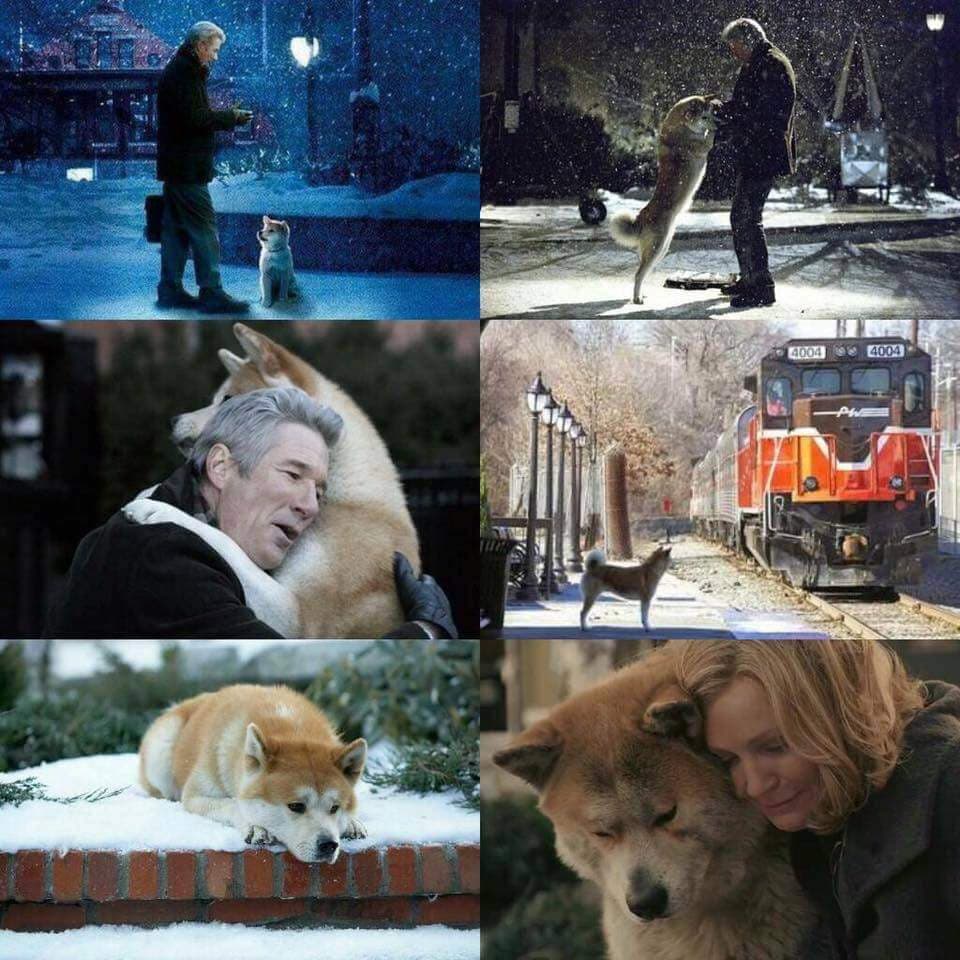 Hachiko. 