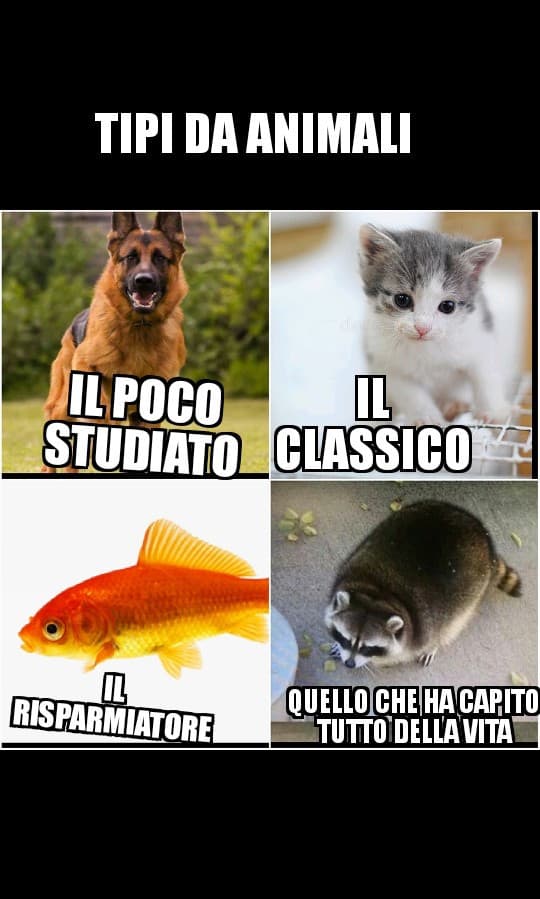 Meme fatto da me