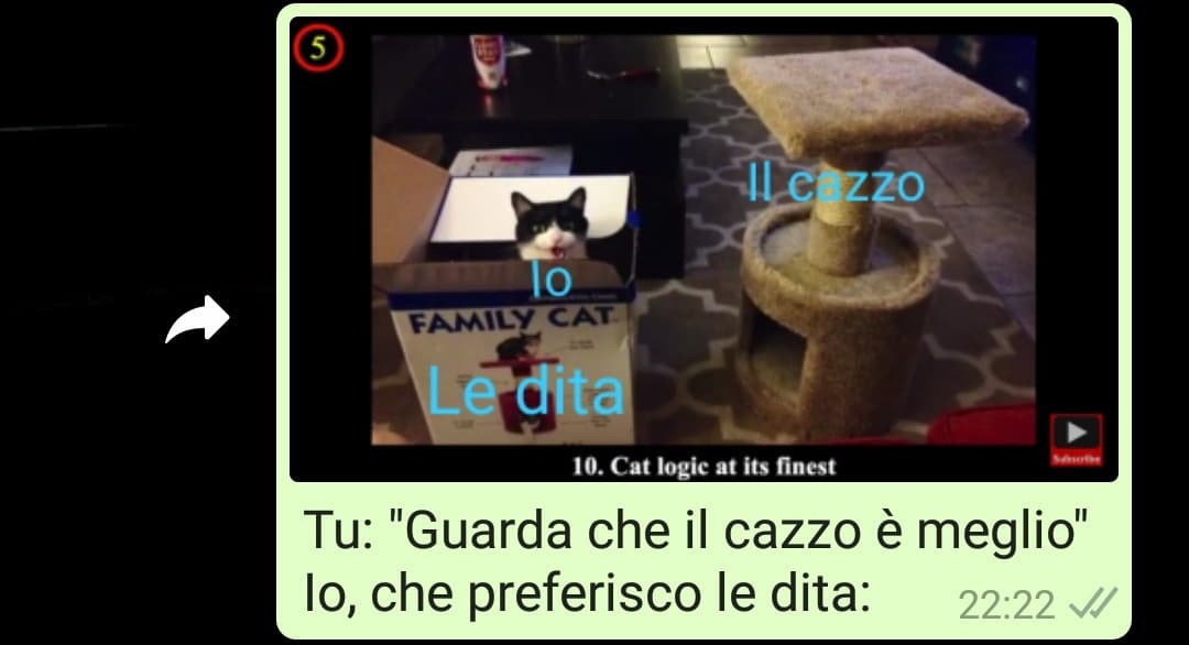 That's my logic (Sì, sono pervertita, non lapidatemi)