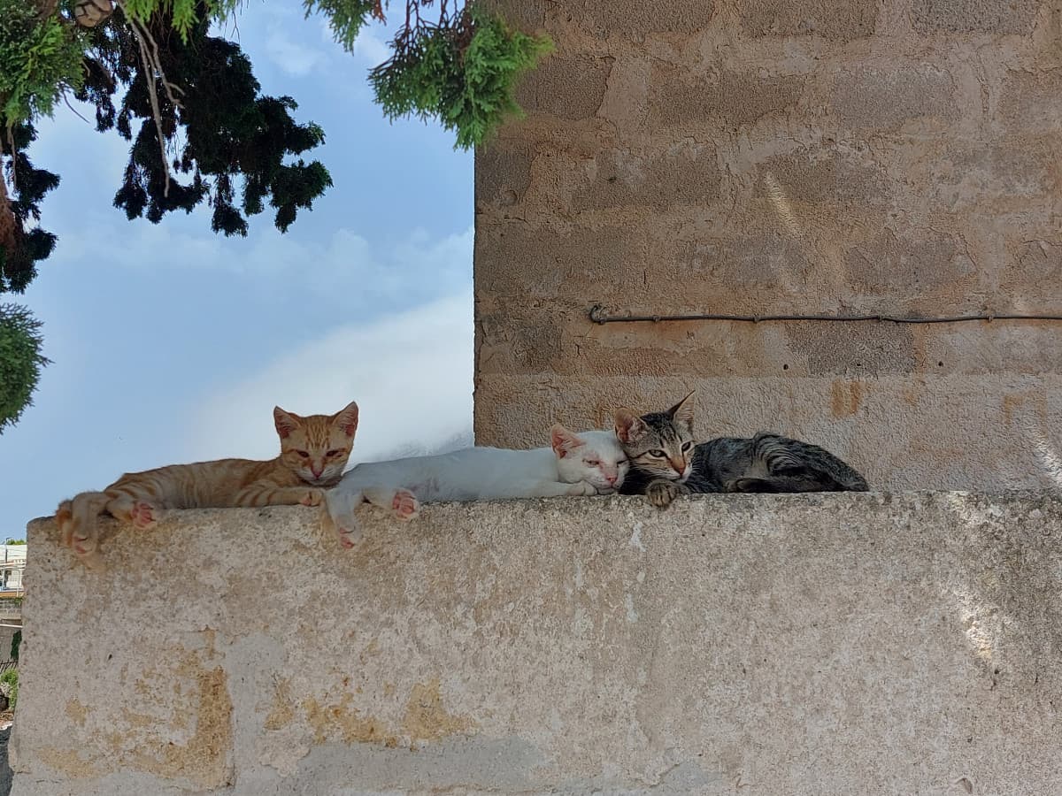 A una tipa in barca ho visto la tetta? avrà avuto solo qualche anno in più di me, lei stra figa (me la farei?) 