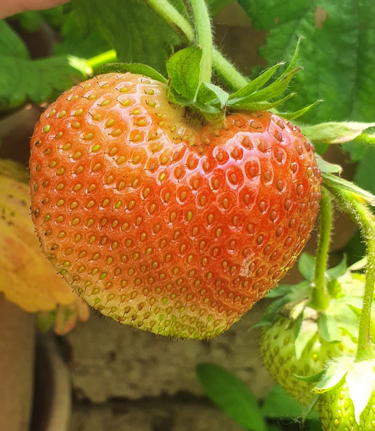 Capisci di essere ormai vecchio