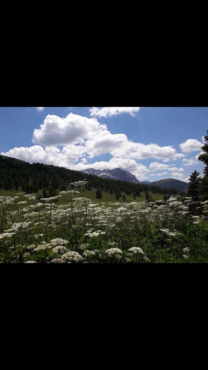 Una delle più belle foto che abbia mai fatto (Luglio 2019)