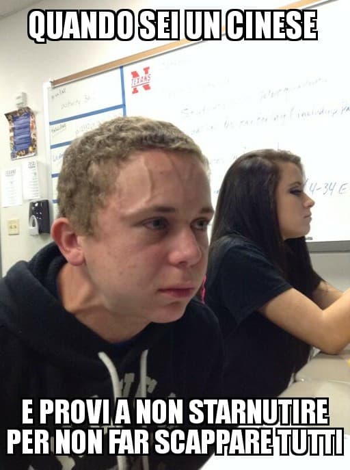 i miei meme artigianali 