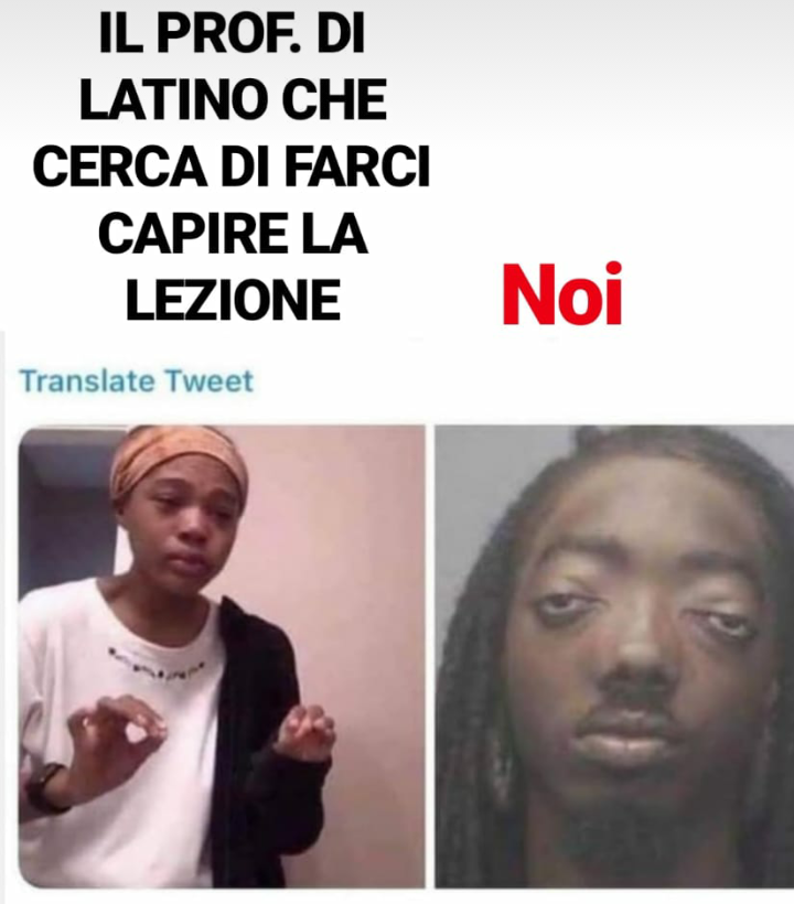 Chi studia latino capirà