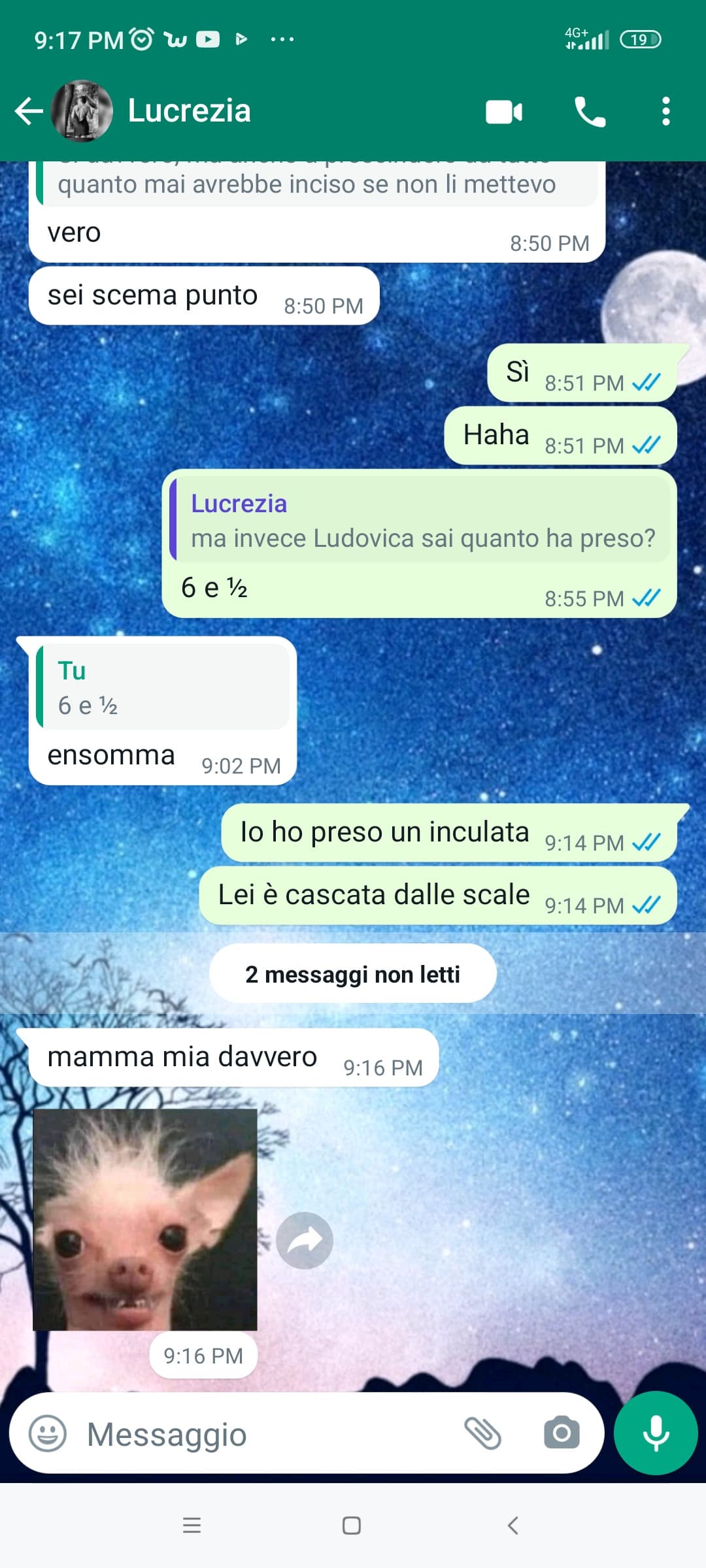 Non so se sono più cringe io con i miei paragoni o lei coi suoi sticker 