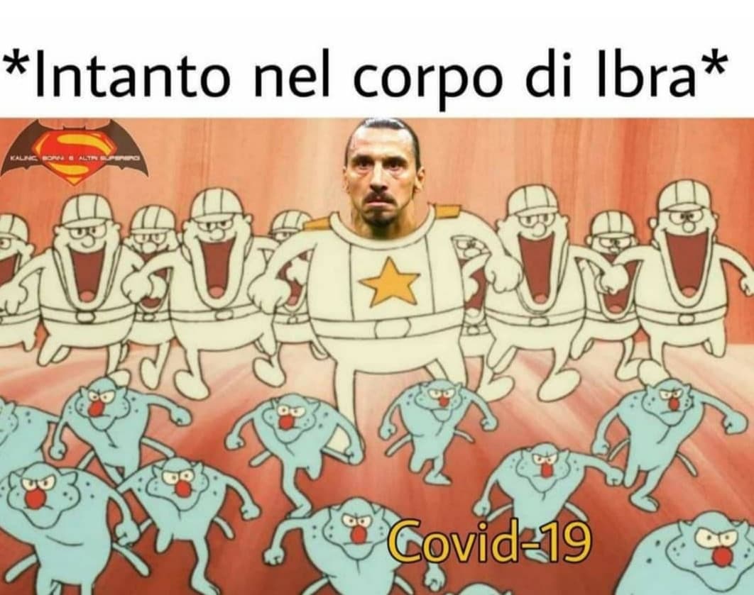 forza ibra 