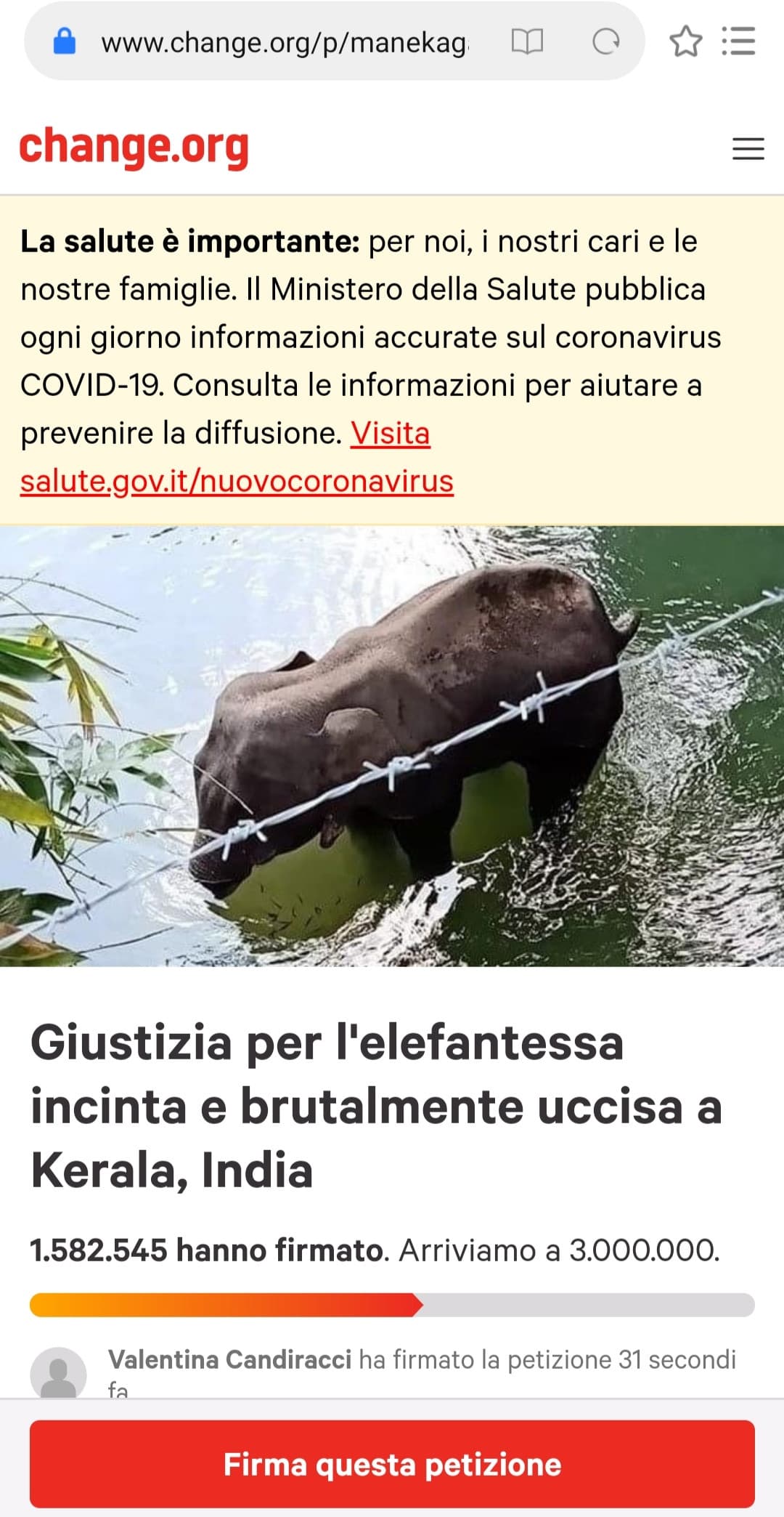  Si può fare qualcosa, facciamolo.