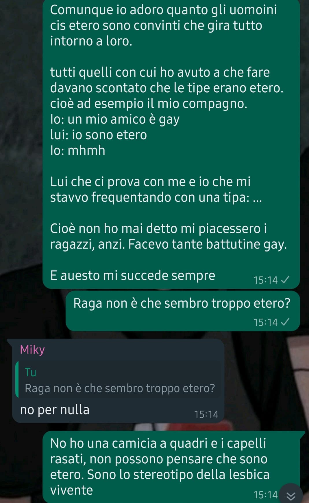 "Ho i capelli rasati e una camicia  a quadri rossa, in breve sono lo streotipo della lesbica" me lo metto nella bio dell'account che uso per scuola. Si. Fermatemi.