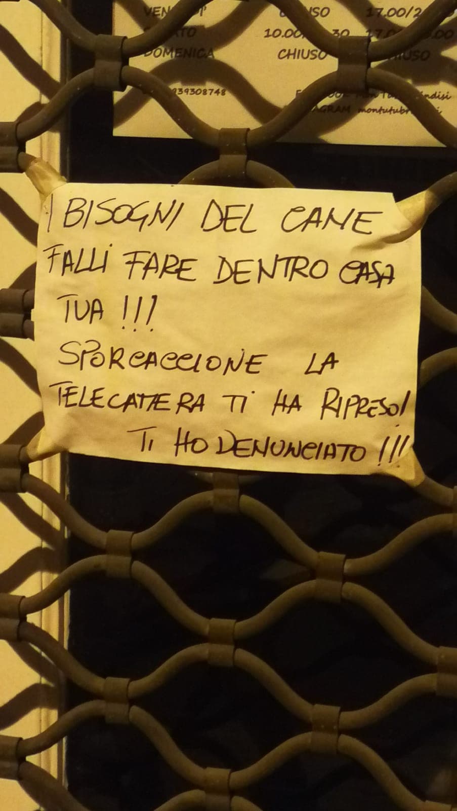 Cose normali che vedo per strada...