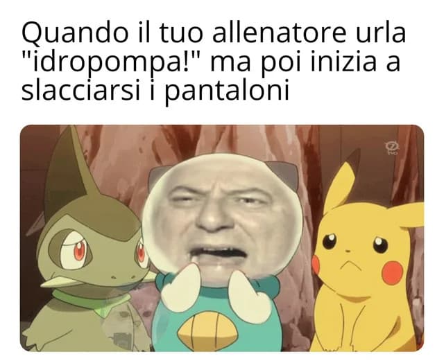 SUS, MOLTO SUS