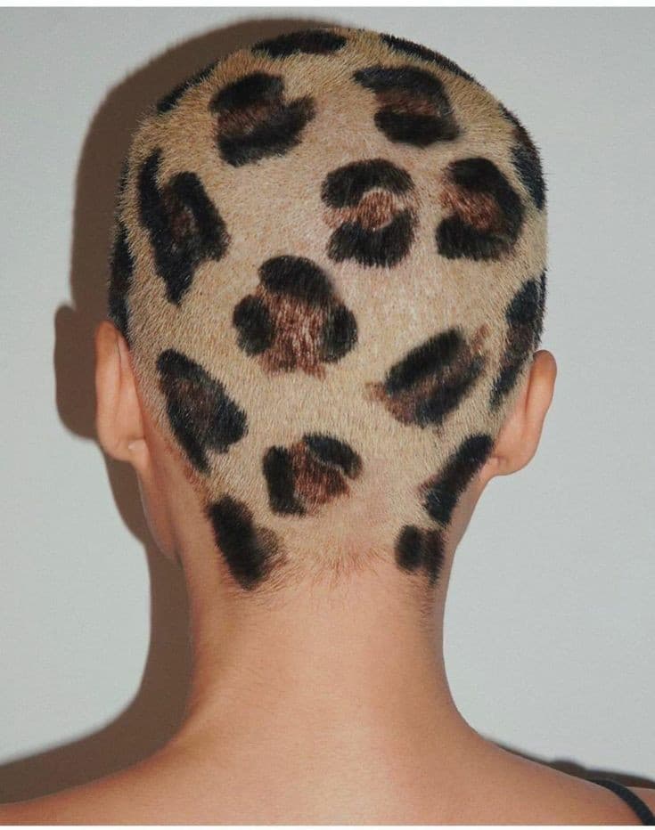 Ho letto il segreto di una che vuole farsi i capelli leopardati e per curiosità ho cercato su internet per vedere se le persone gli avessero davvero. 