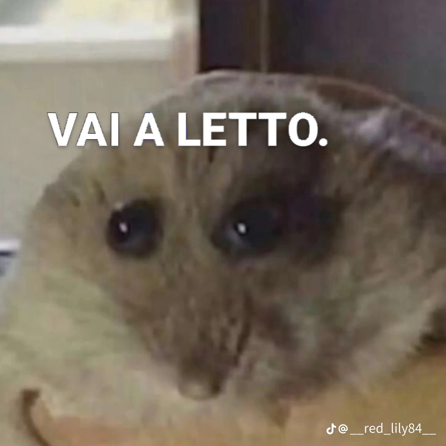 VAI A LETTO.